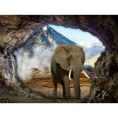 Elefantenhöhle- Von 20,28 €