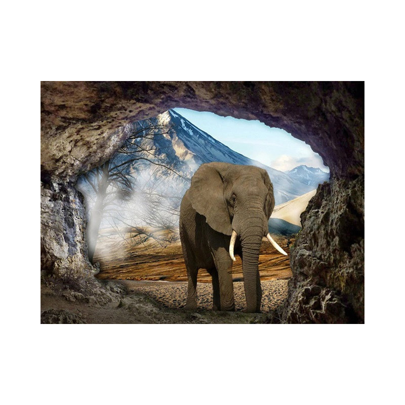 Elefantenhöhle- Von 20,28 €