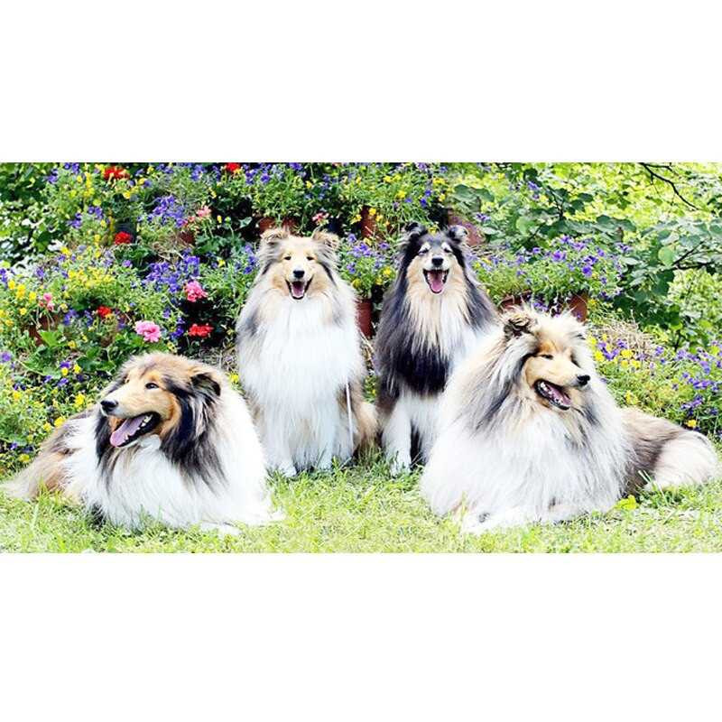 4 Hunde in den Blumen- Von 39,48 €