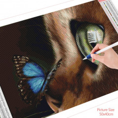 braune Schmetterlingskatze Nase- Von 20,28 €