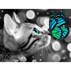 grauer katzenblauer Schmetterling- Von 20,28 €