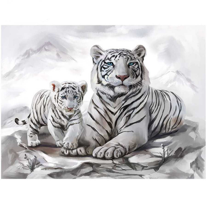 5D Tiger und weißes Baby- Von 35,88 €