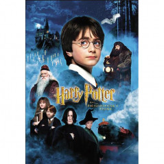 Harry Potter 5D mit Freunden Filmplakat