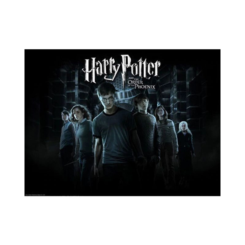 Harry Potter 5D Freunde im Dunkeln- Von 21,48 €
