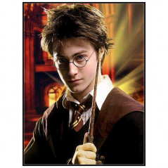 Harry Potter Der Zauberer- Von 21,48 €