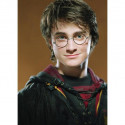 Harry Potter Das Zauberer-Porträt- Von 21,48 €