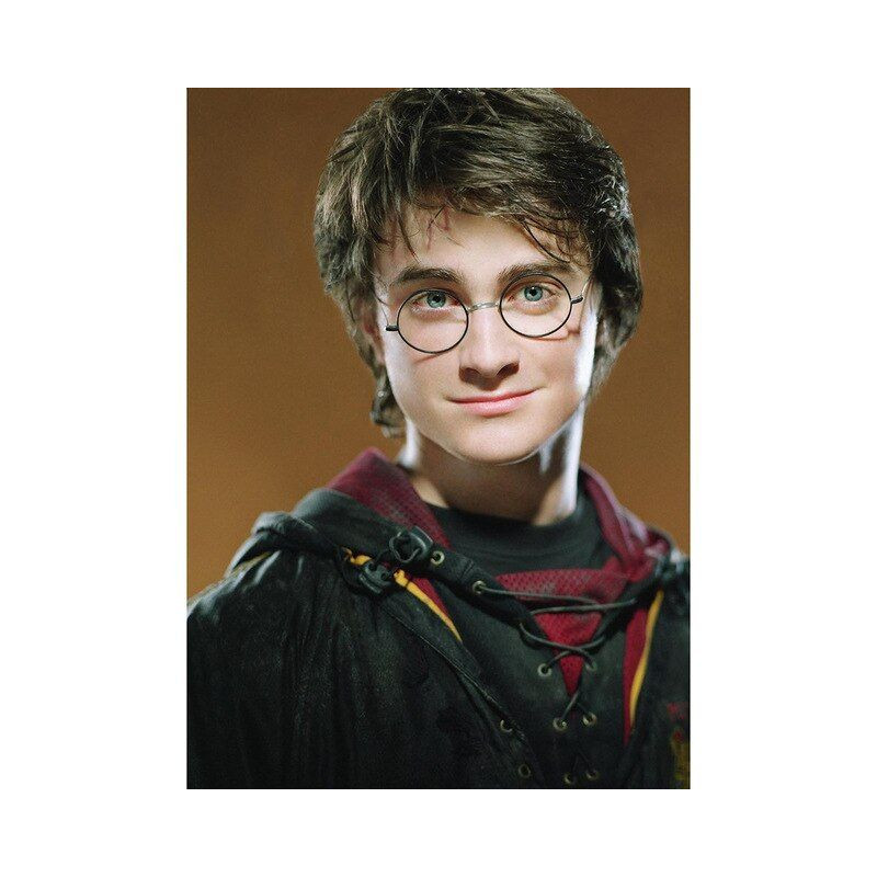 Harry Potter Das Zauberer-Porträt- Von 21,48 €