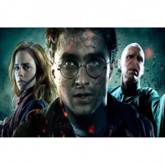 Harry Potter Das schwarze Gesicht des Magiers- Von 21,48 €