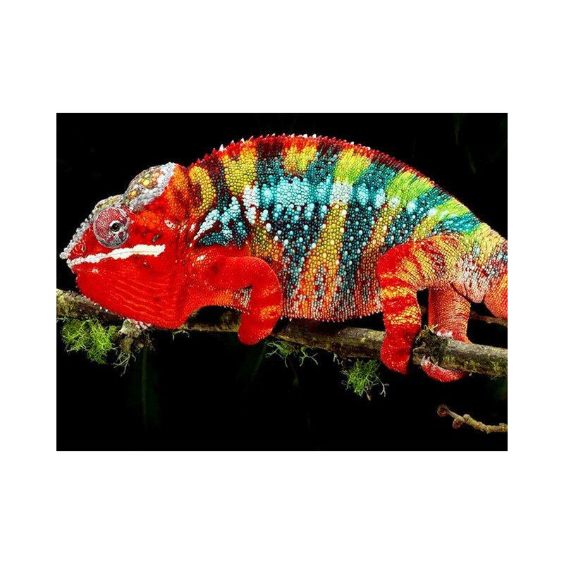 3D Chameleon E-Serie- Von 20,28 €