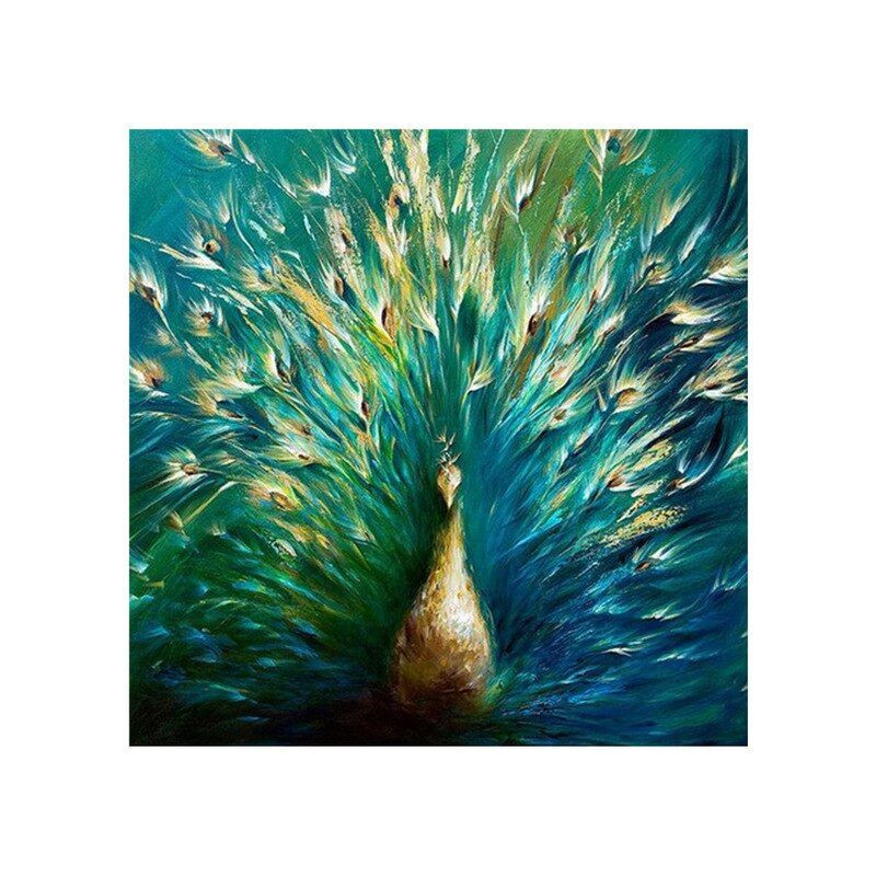 Peacock K-Serie- Von 21,59 €