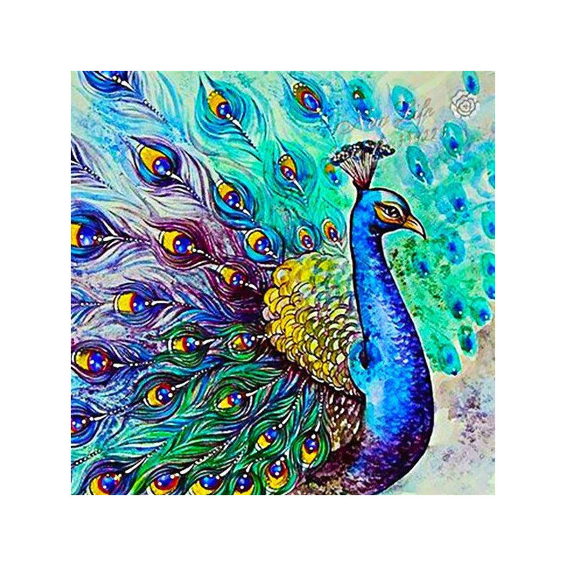 Peacock O-Serie- Von 21,59 €