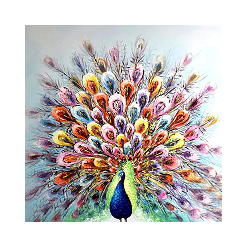 Peacock R-Serie- Von 21,59 €