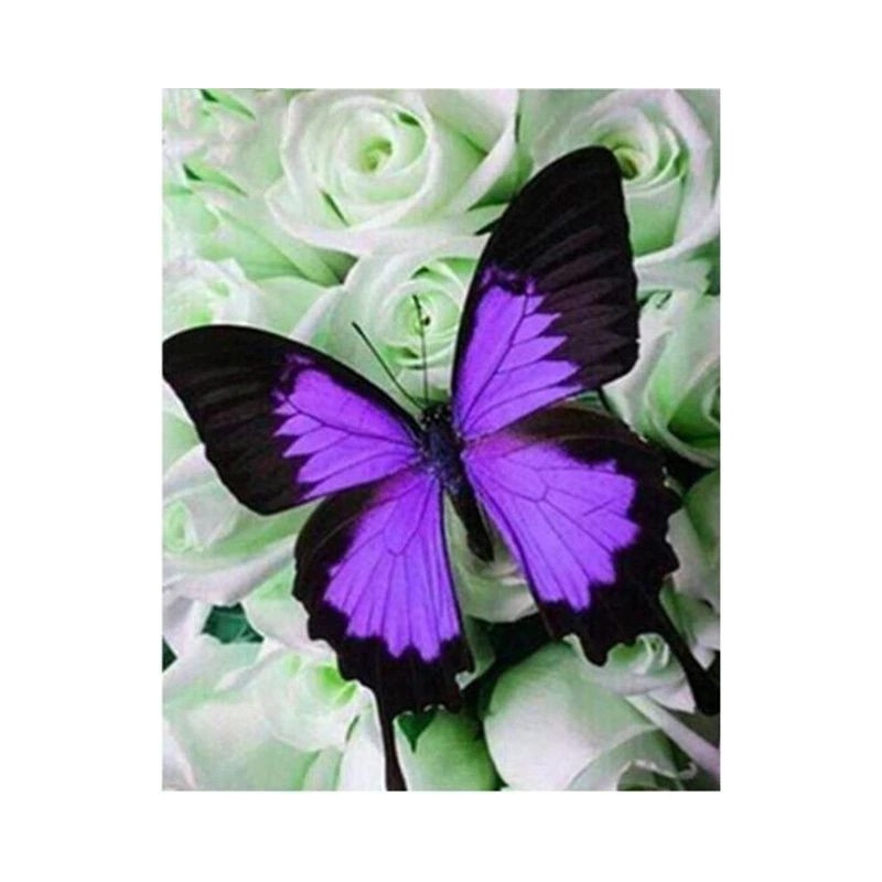 Crystal Butterfly J-Serie- Von 10,32 €