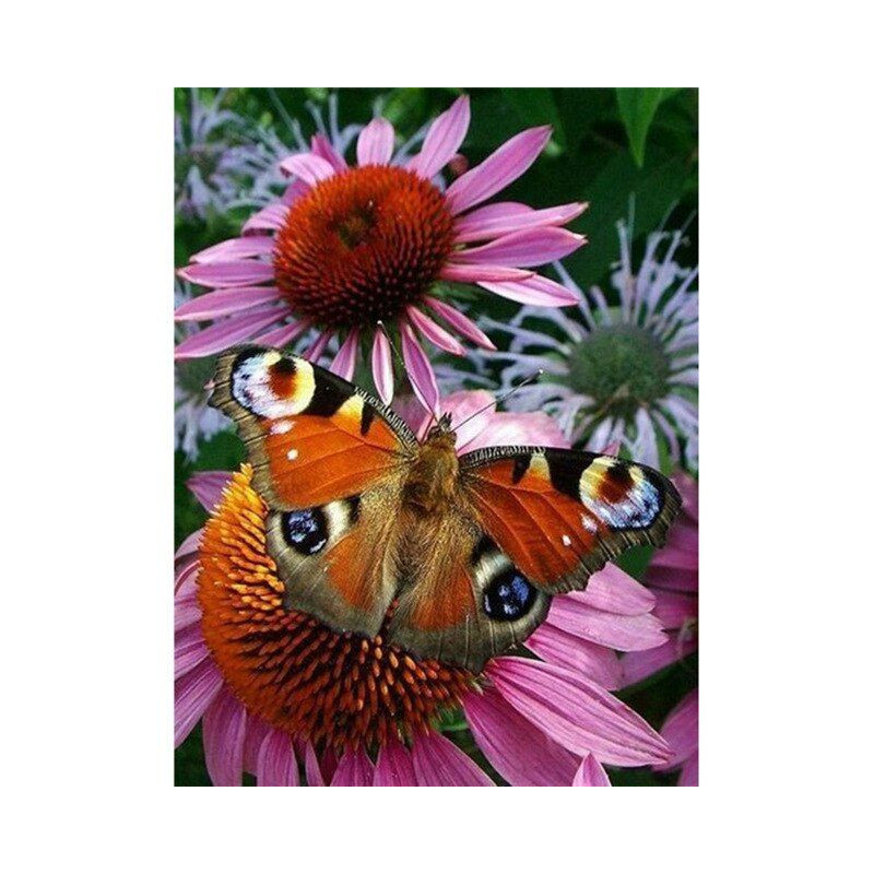 Blumen und Schmetterling 3D Farbe F- Von 16,90 €