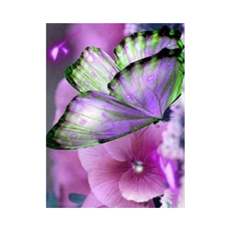 Blumen und Schmetterling 3D Farbe H- Von 16,90 €