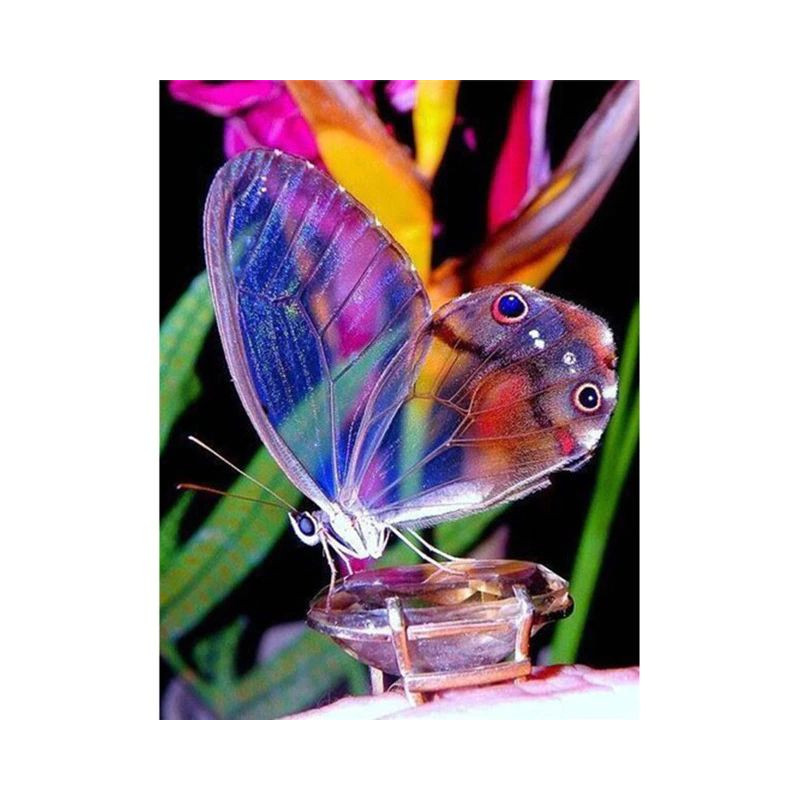 Blumen und Schmetterling 3D Farbe I- Von 16,90 €