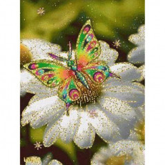 Blumen und Schmetterling 3D Farbe X- Von 16,90 €